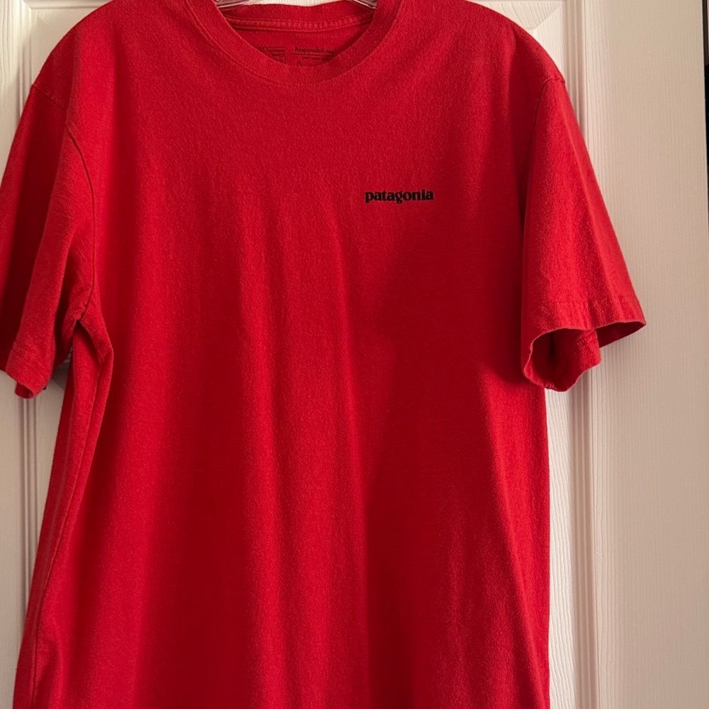 Patagonia Men's Vibrant Red Short Sleeve Tee